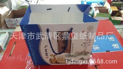 天津印刷廠家專業定做 紙質手提袋與服裝手提袋圖片展示